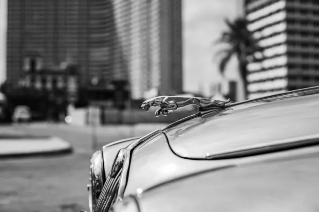 PocketWin Casino Android/iOS App